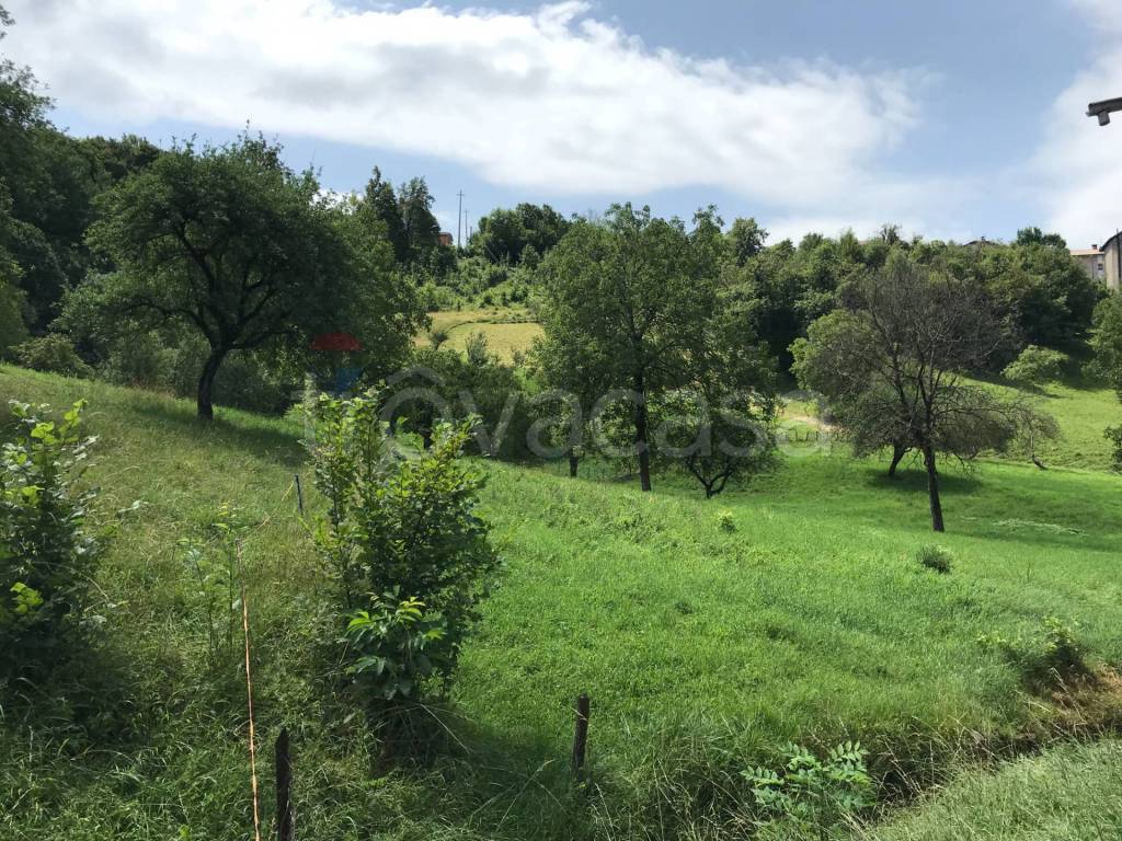 immagine annuncio 2 di 7