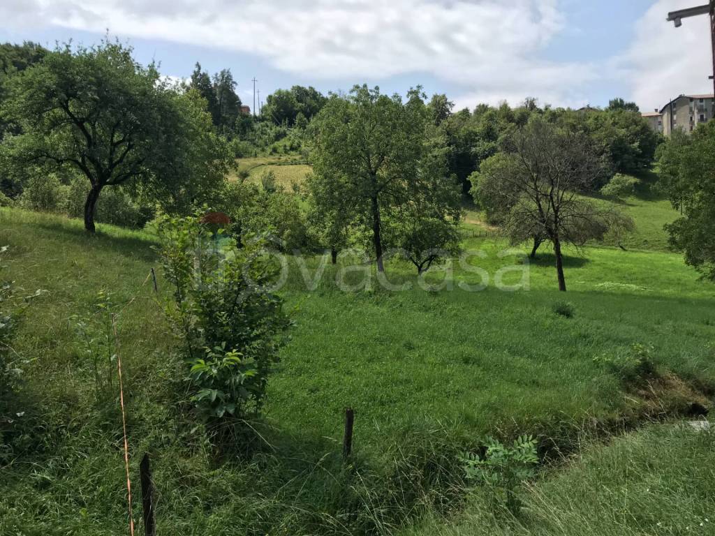 immagine annuncio 4 di 7