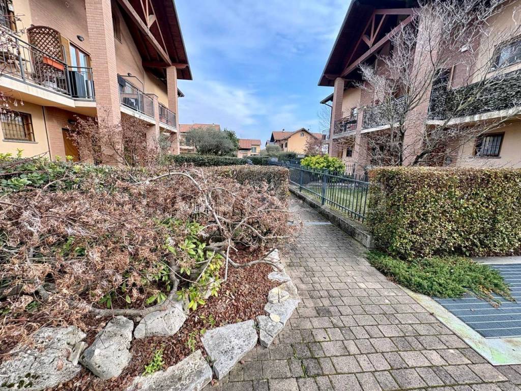 immagine annuncio 11 di 15