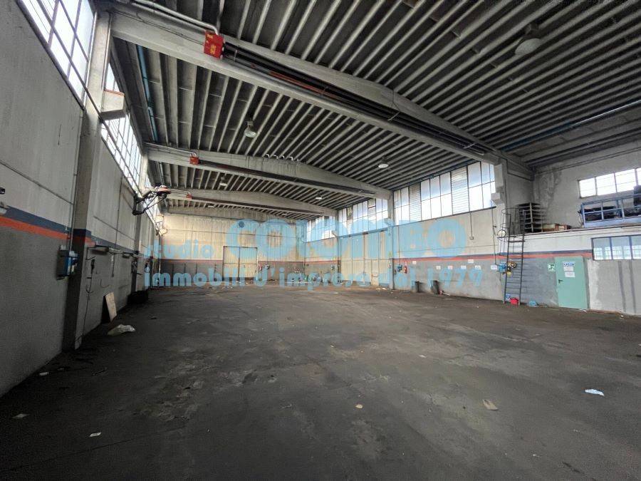 immagine annuncio 1 di 13