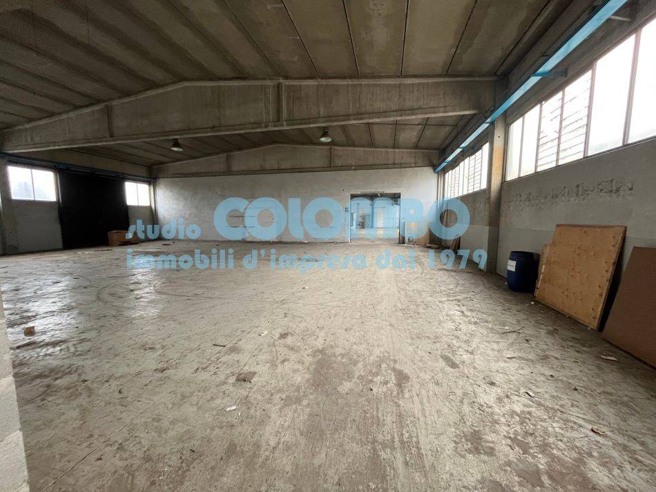 immagine annuncio 3 di 13