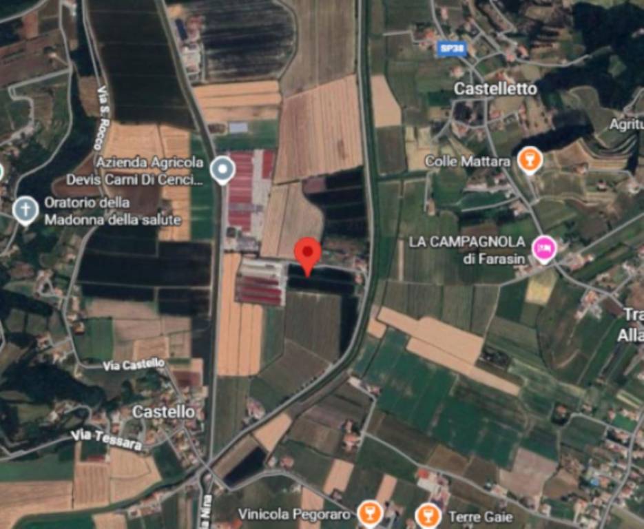 immagine annuncio 2 di 13