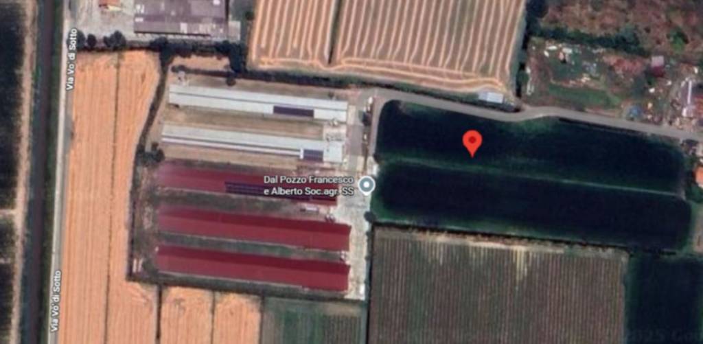 immagine annuncio 4 di 13