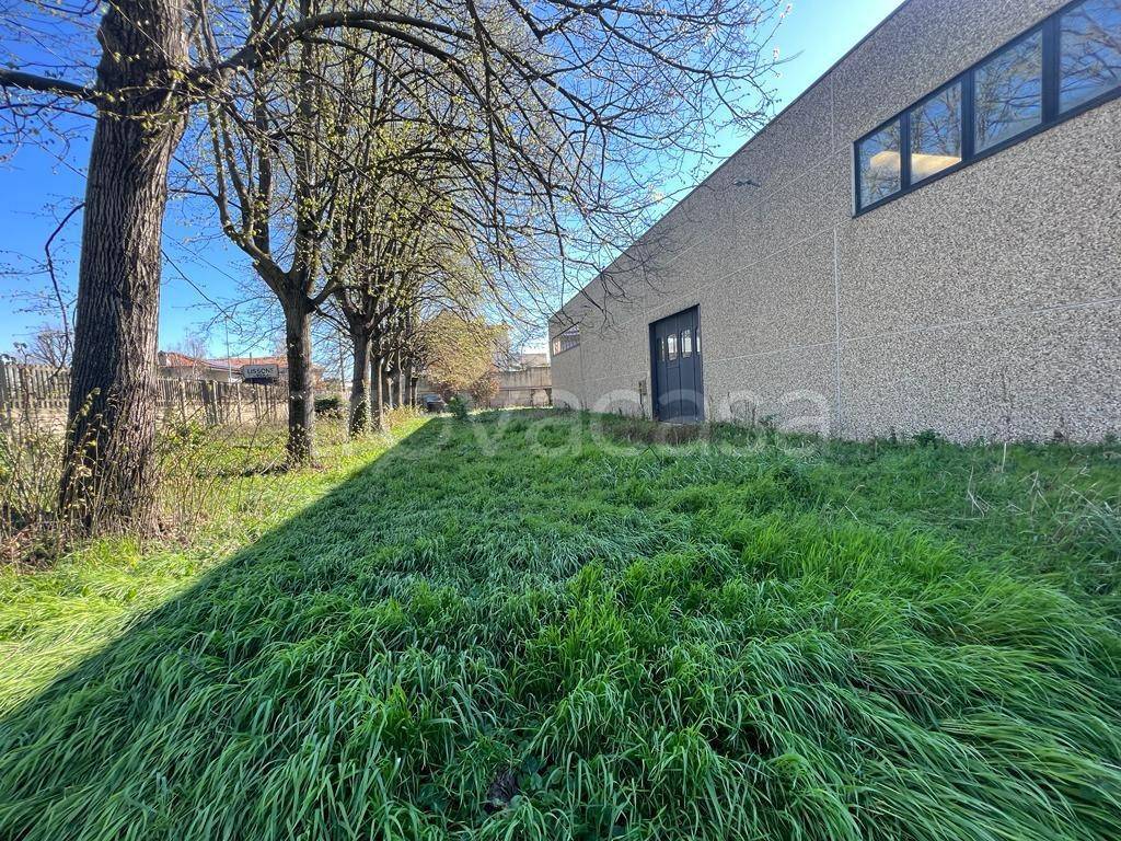 immagine annuncio 8 di 13