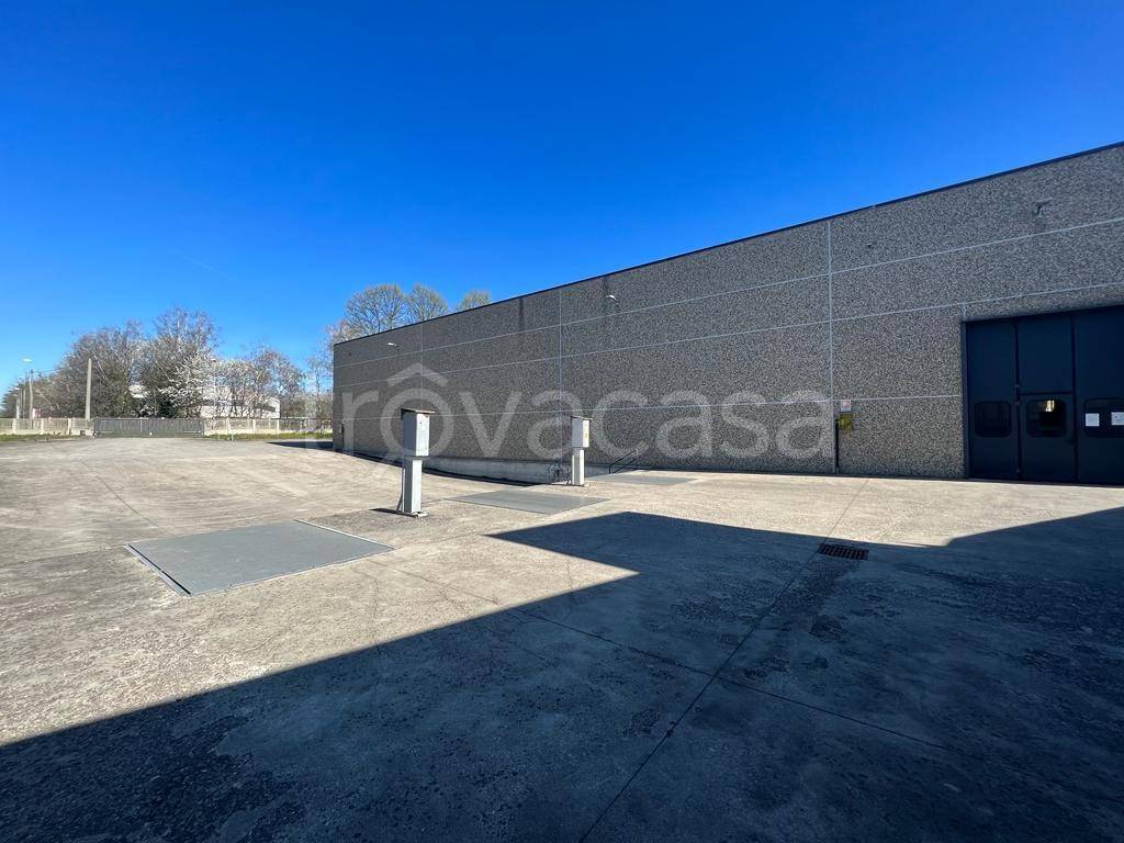 immagine annuncio 1 di 13