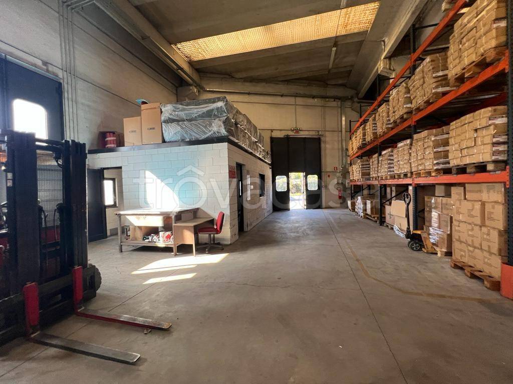 immagine annuncio 5 di 13