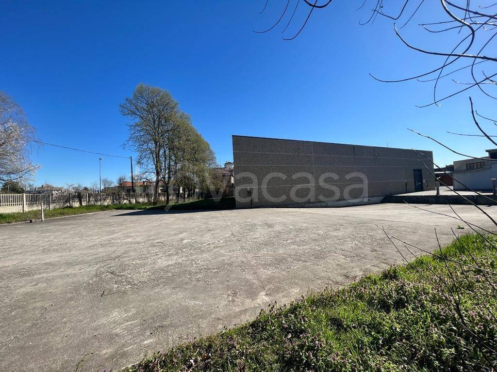 immagine annuncio 11 di 13