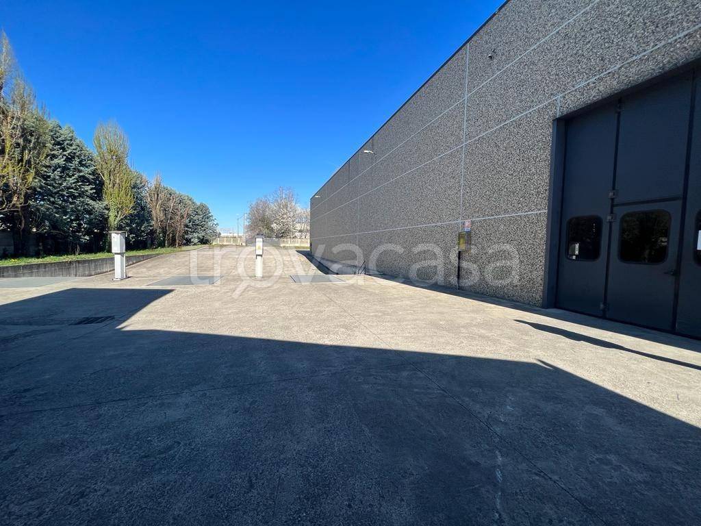 immagine annuncio 2 di 13