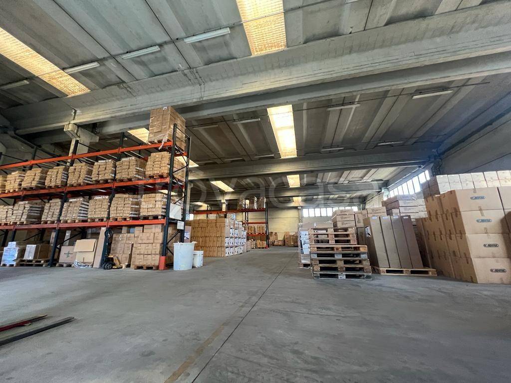 immagine annuncio 6 di 13