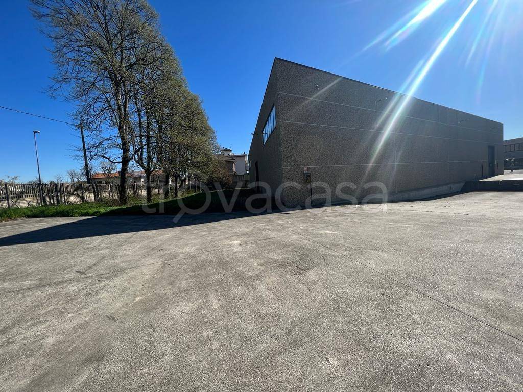 immagine annuncio 10 di 13