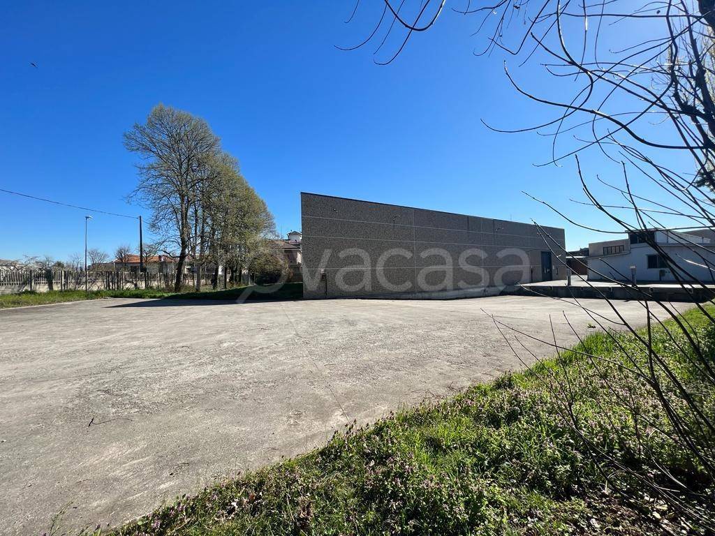 immagine annuncio 12 di 13