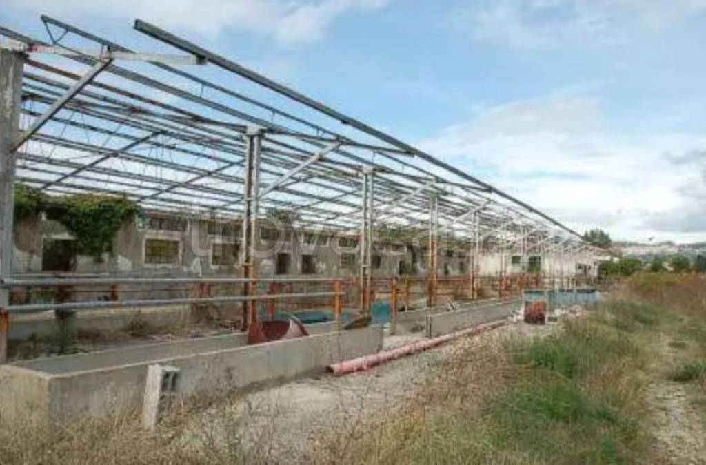 immagine annuncio 4 di 12