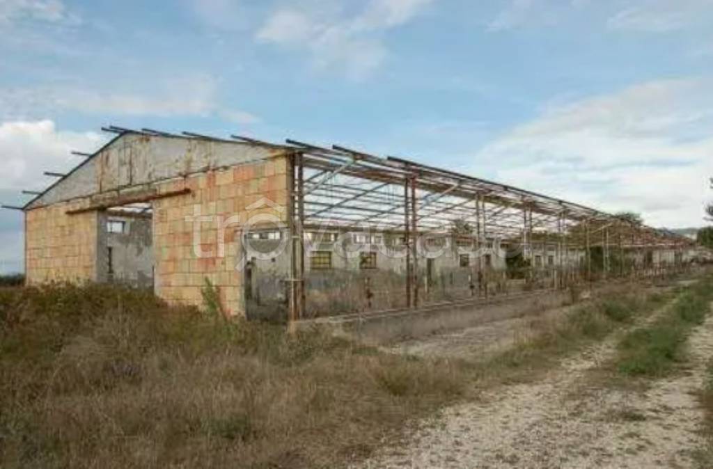 immagine annuncio 7 di 12