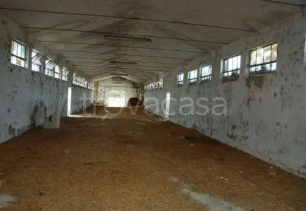 immagine annuncio 11 di 12