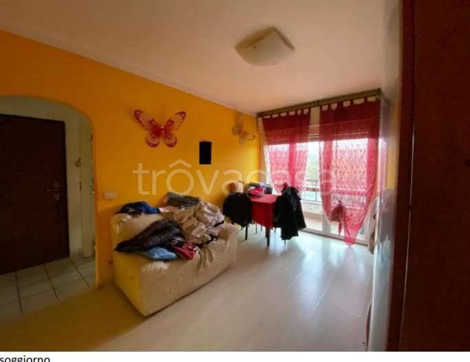 immagine annuncio 3 di 14