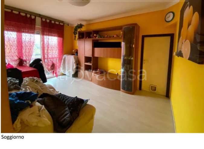 immagine annuncio 12 di 14