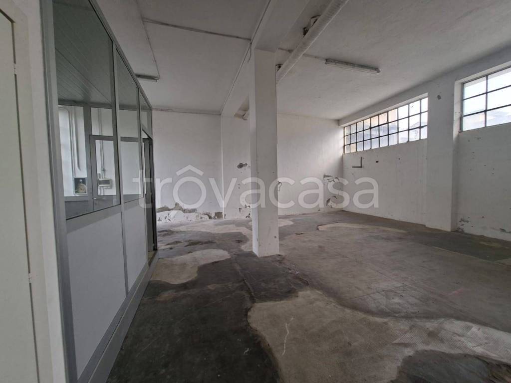 immagine annuncio 3 di 11