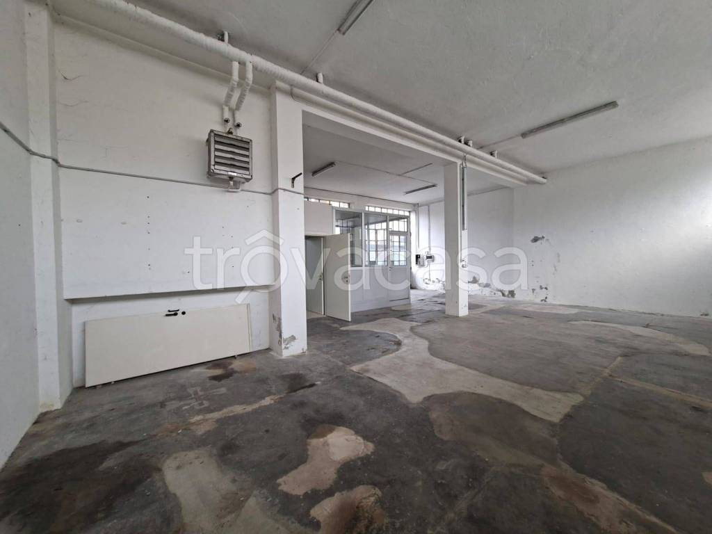 immagine annuncio 5 di 11