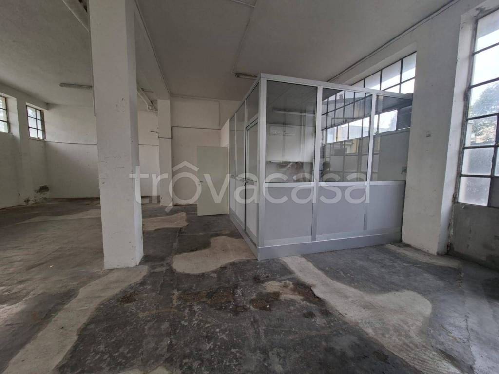 immagine annuncio 7 di 11