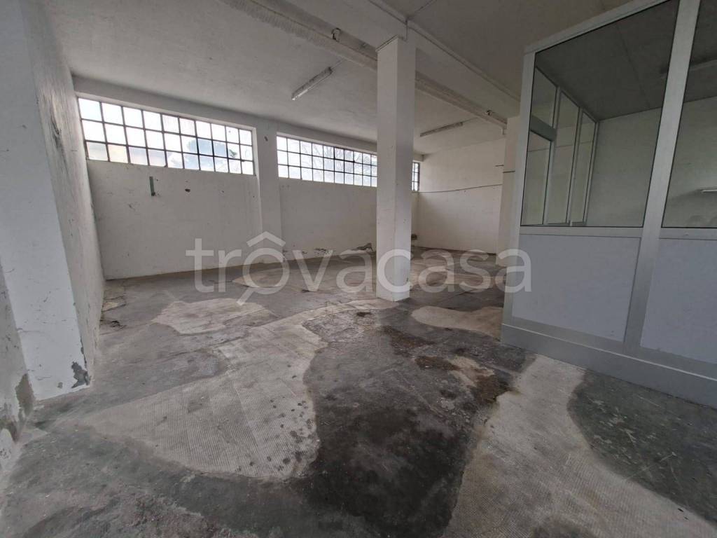 immagine annuncio 9 di 11