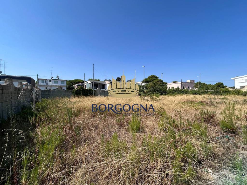 immagine annuncio 1 di 9