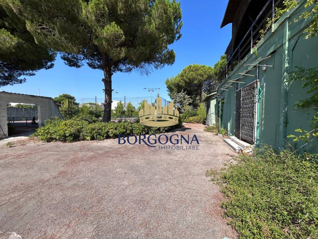 immagine annuncio 2 di 9