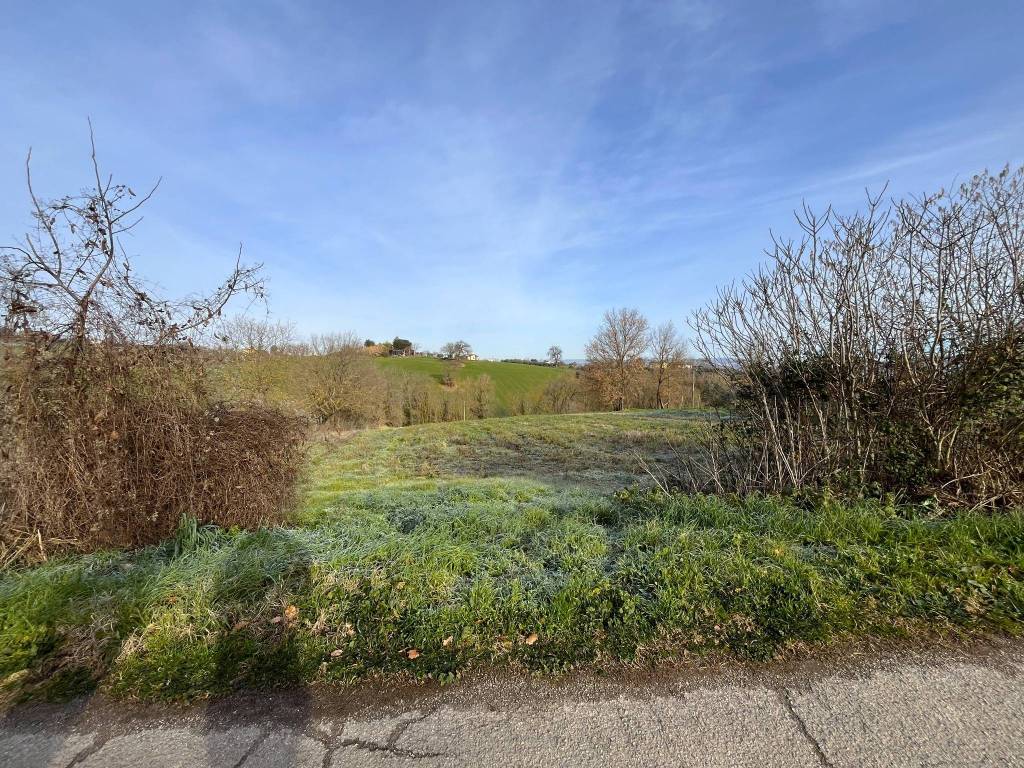 immagine annuncio 2 di 7