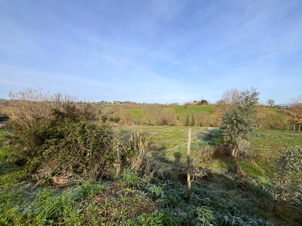 immagine annuncio 3 di 7