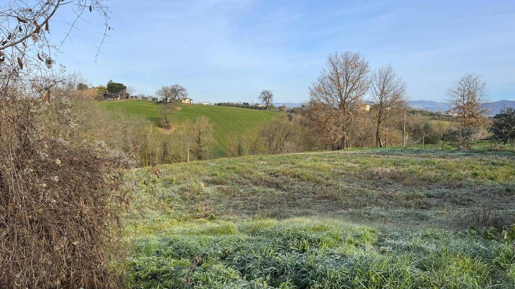 immagine annuncio 5 di 7