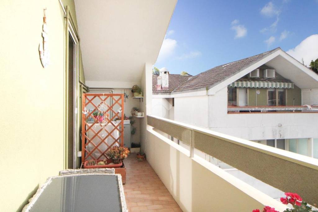 immagine annuncio 7 di 14