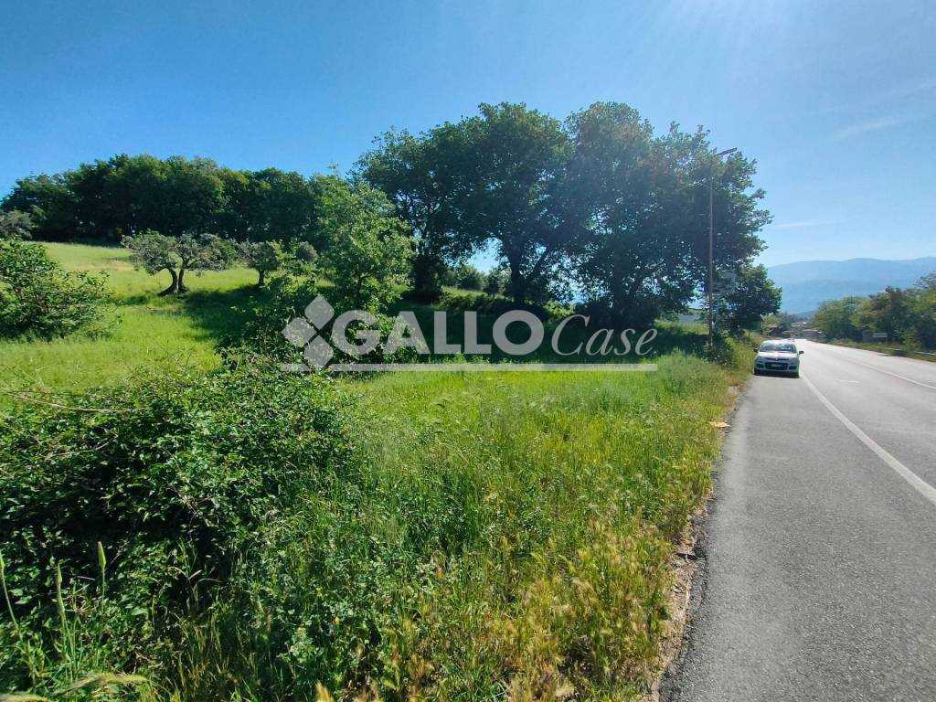 immagine annuncio 1 di 8