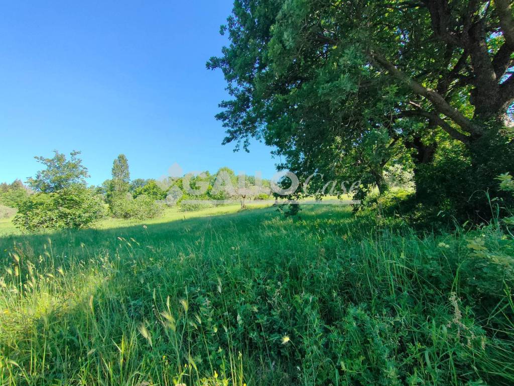 immagine annuncio 3 di 8