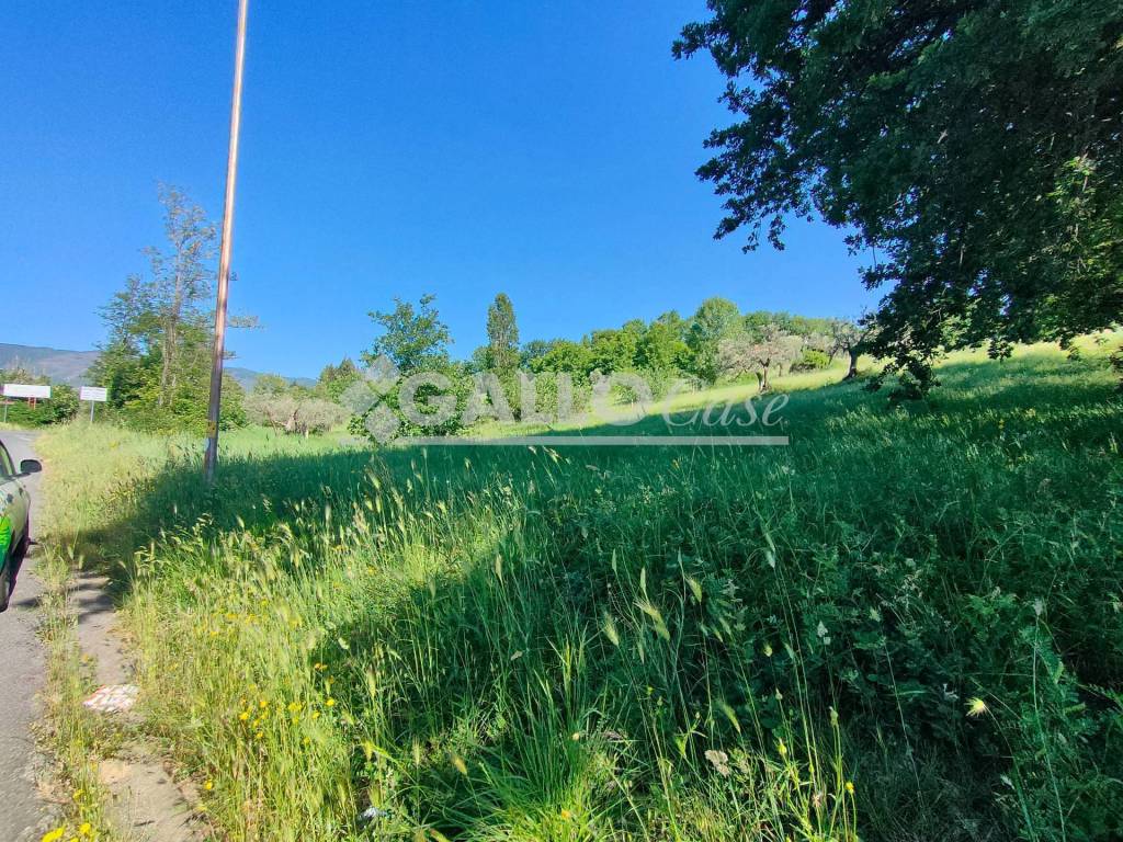 immagine annuncio 4 di 8