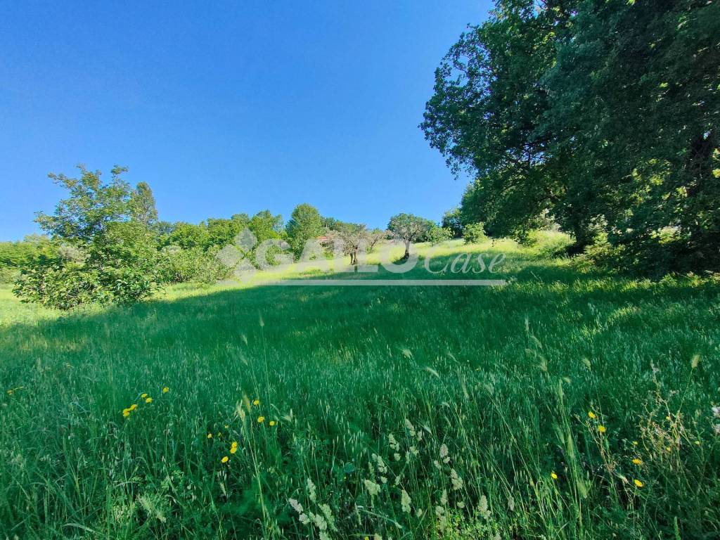 immagine annuncio 5 di 8