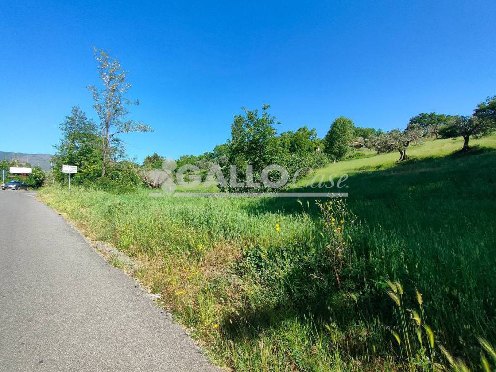 immagine annuncio 6 di 8