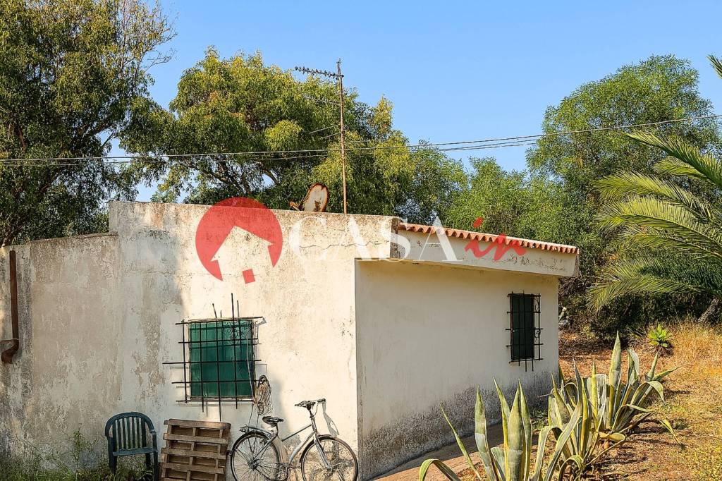 immagine annuncio 2 di 14