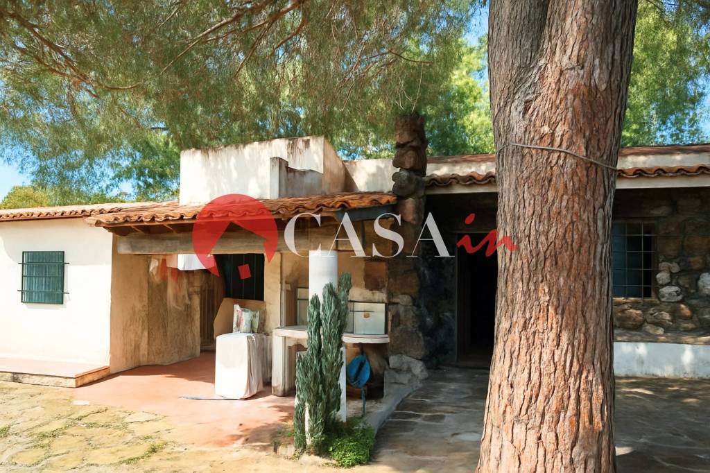 immagine annuncio 4 di 14