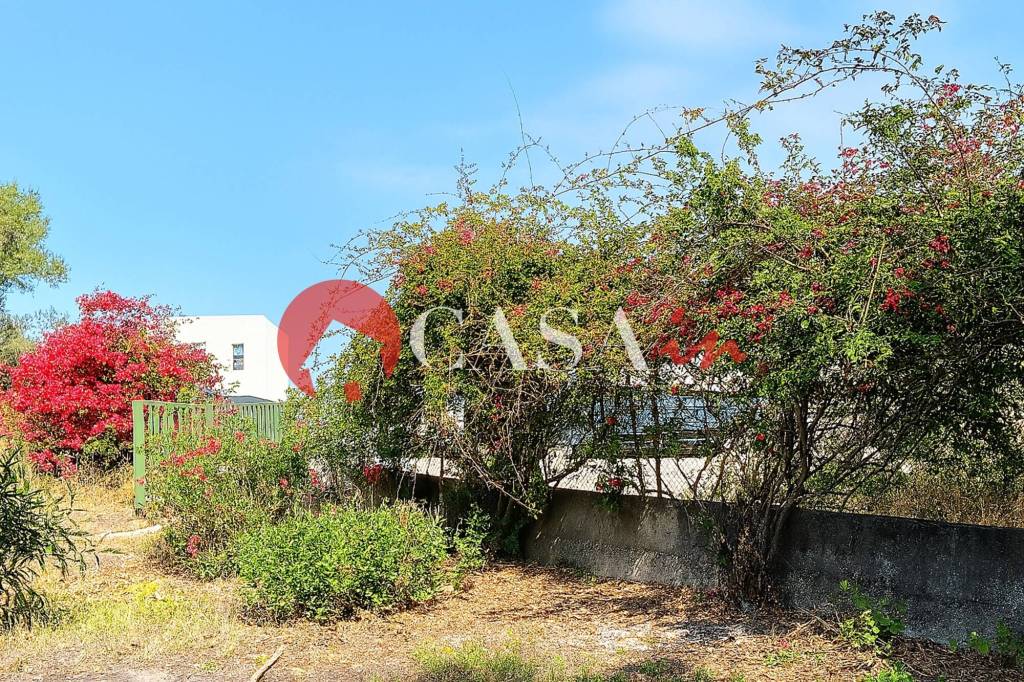 immagine annuncio 5 di 14