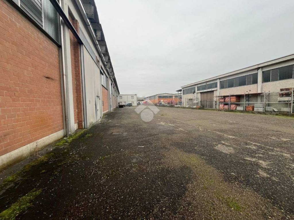 immagine annuncio 7 di 15