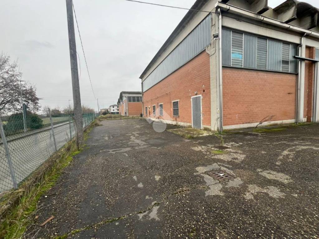 immagine annuncio 8 di 15