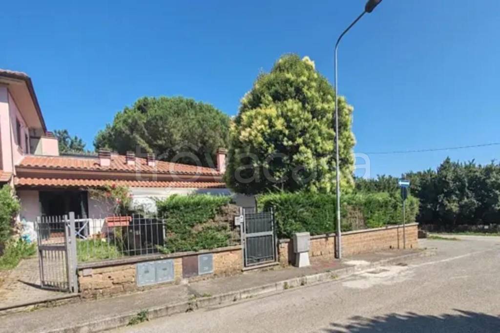 immagine annuncio 2 di 14