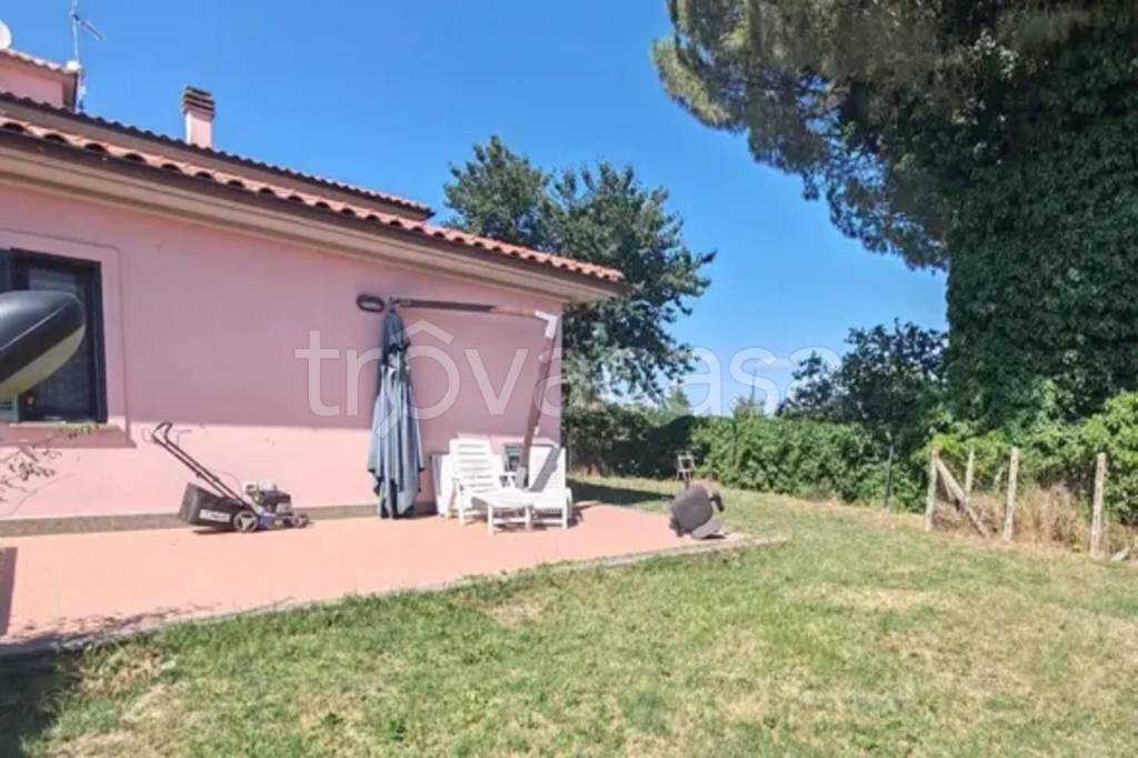 immagine annuncio 3 di 14