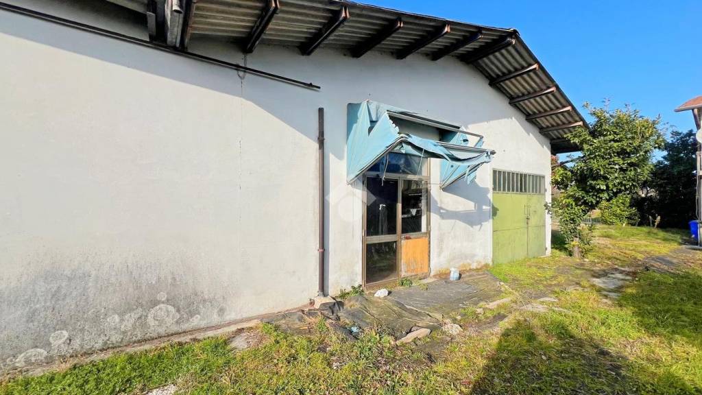 immagine annuncio 3 di 11