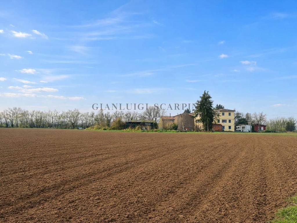 immagine annuncio 11 di 14