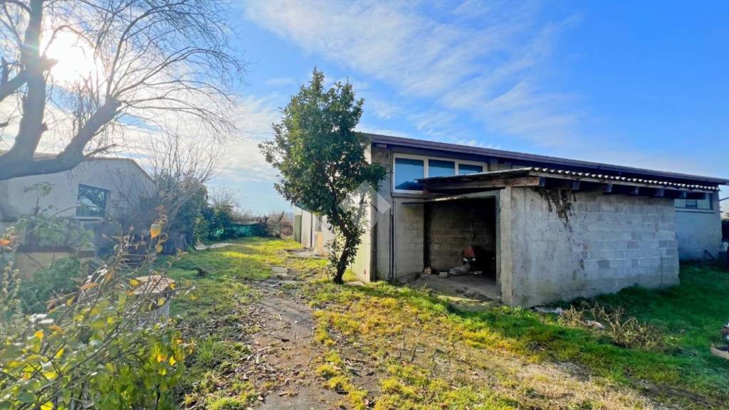 immagine annuncio 8 di 11