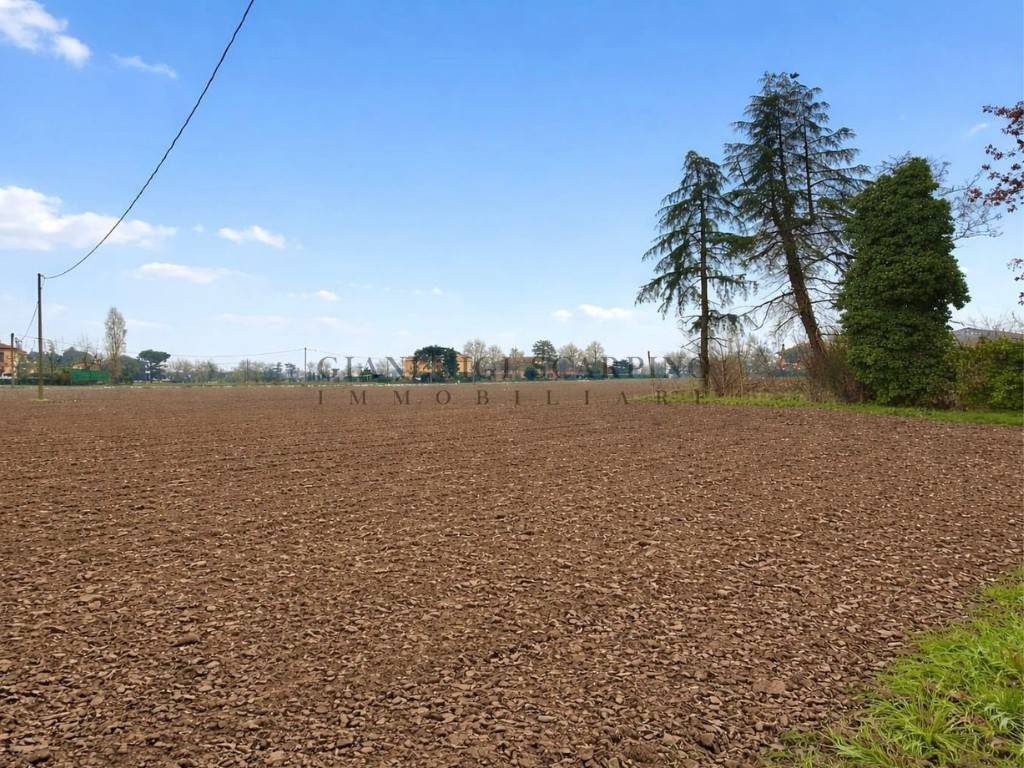 immagine annuncio 12 di 14