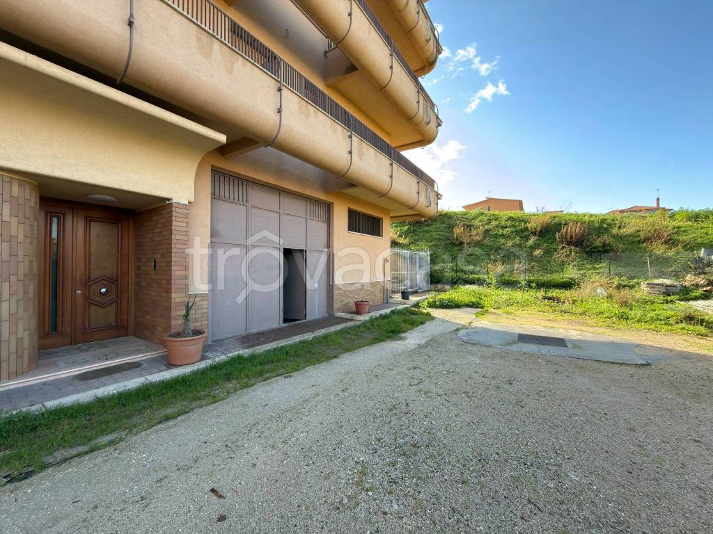 immagine annuncio 3 di 6