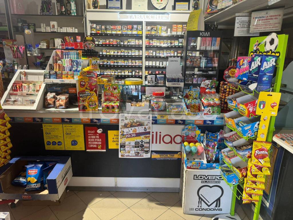 immagine annuncio 10 di 15