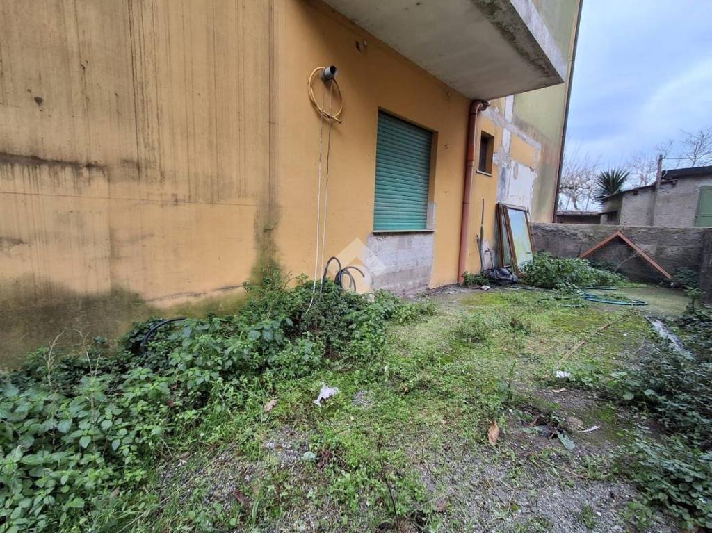 immagine annuncio 2 di 12