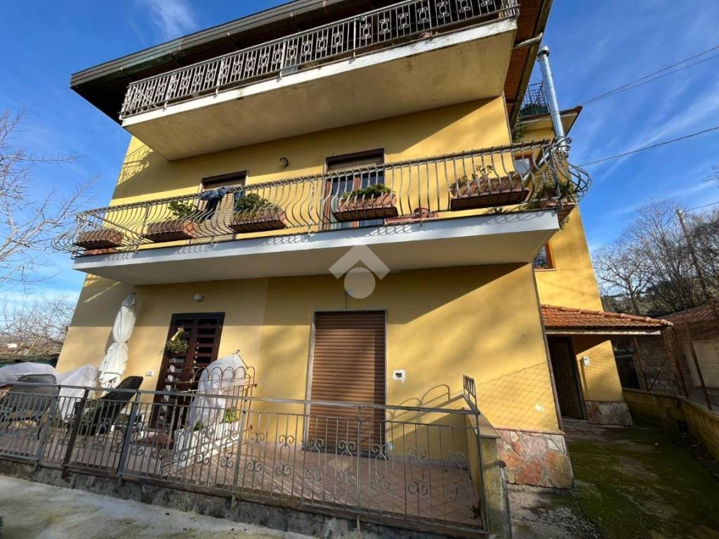 immagine annuncio 3 di 12